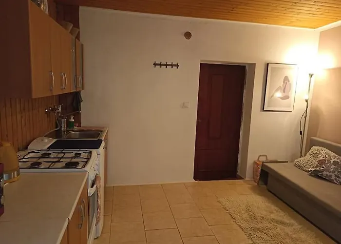 Apartment U Rybniku Pohorelice (Brno)
